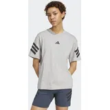 adidas FUTURE ICONS 3-STREIFEN grau XXL