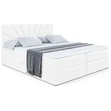 altdecor Boxbett, Weiß Hochglanz, Holzwerkstoff, H3 Höhe ca. 20 cm 140x200 cm, Schlafzimmer, Betten, Boxspringbetten