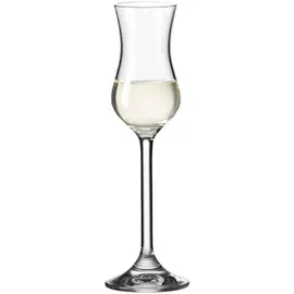 LEONARDO Daily Grappaglas 0,1 l 6 St.