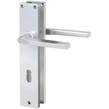 BASI Langschild-Garnitur ZB 4100 Alu F1 grau