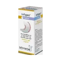 INFIGAST Tropfen 100 ml Tropfen