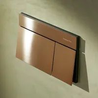 Hansgrohe iFrame Element E Betätigungsplatte 66003140 für 2-Mengen-Spülung Brushed Bronze