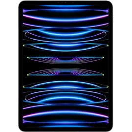 Apple iPad Pro 11" (4. Generation 2022) 2 TB Wi-Fi + Cellular silber