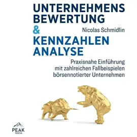 Peak Performance Unternehmensbewertung & Kennzahlenanalyse: Praxisnahe Einführung mit zahlreichen Fallbeispielen börs