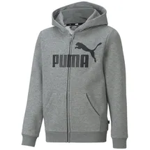 Puma 586967_03_110 Sportpullover/-Hoodie