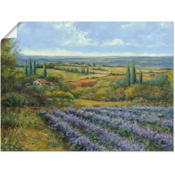 Wandbild ARTLAND "Lavendelfelder in der Provence", blau (farbe bild(er): blau), B:80cm H:60cm T:0,1cm, Papier, Bilder, als Leinwandbild, Poster, Wandaufkleber in verschied. Größen