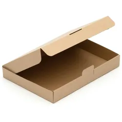 KK Verpackungen 100 Maxibriefkartons Maxibrief A4 B4 Kartons 350x250x50mm