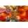 Super Mario Galaxy + Super Mario Galaxy 2 Nintendo Switch Edition