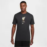 Nike FC Liverpool T-Shirt 2023 grau Herren Gr. S