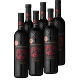 Primitivo IGT Salento Appassito 2023 99 LMP - 6er Karton