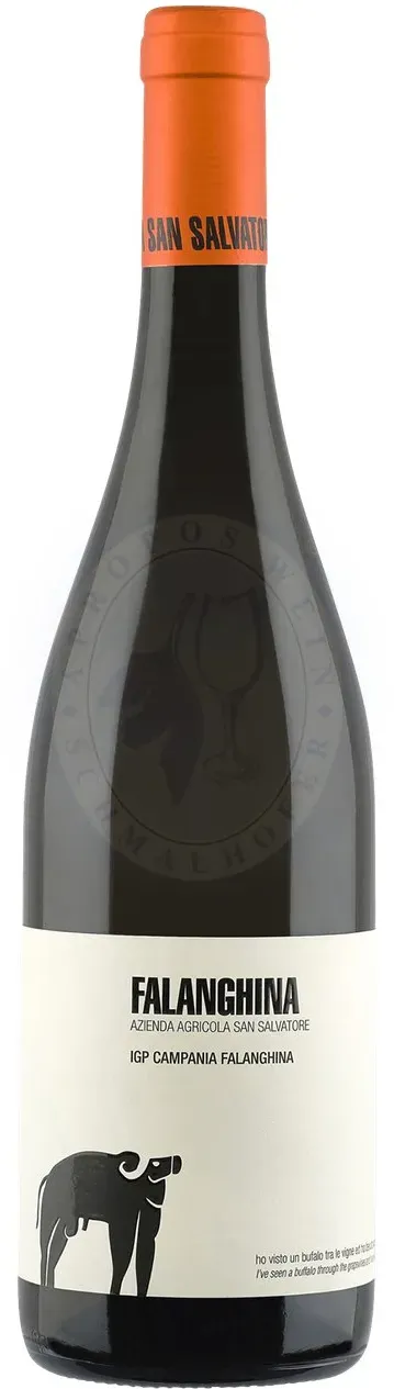 Falanghina 2025 San Salvatore 0,75l