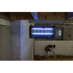 Knock Off Insektenlampe eckig, UV-Licht, Insektenvernichter bis zu 30 m2