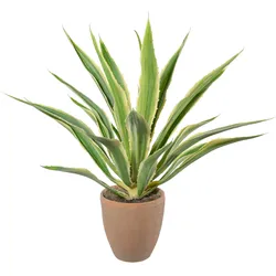 Kunstpflanze Agave