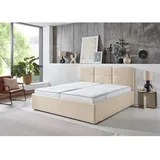 SUN GARDEN Durango Polsterbett Holzwerkstoff/Polyester - Weiß