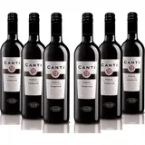 Canti - Italienischer Primitivo I.G.T. 12,5%, trockener Rotwein, Geschenkpackung, süßer und runder Geschmack mit Noten von roten blumen, 6x750 ml