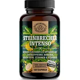Scheunengut Scheunengut® Steinbrecher Intenso | Chanca Piedra 120 St