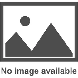 Certina  Ds Edelstahl Uhrenmetallband, Ds C605007482
