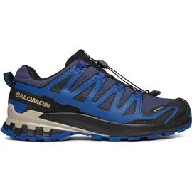 Salomon XA Pro 3D V9 GTX Herren Blue Print/Surf The Web/Lapis Blue 42