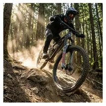 RockShox ZEB Ultimate Charger 3.1 RC2 29" Boost,15x110,190mm,44offs.,DA,grau