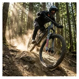 RockShox ZEB Ultimate Charger 3.1 RC2 29" Boost,15x110,190mm,44offs.,DA,grau