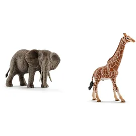 Schleich Wild Life Afrikanische Elefantenkuh 14761