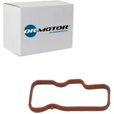 dr.motor Dichtung, Ansaugkrümmer