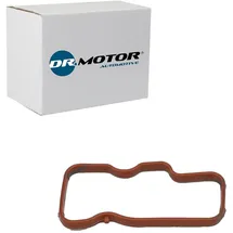 dr.motor Dichtung, Ansaugkrümmer