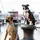 Max & Molly Urban Pets Max & Molly Kurzleine Blue Ocean, M