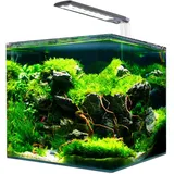 Amtra Nanotank System 60 60,0 l komplett mit LED-Licht und Filter mehrfarbig