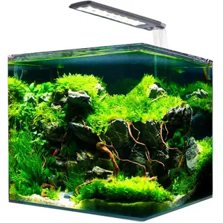 Amtra Nanotank System 60 60,0 l komplett mit LED-Licht und Filter mehrfarbig