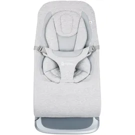 Ergobaby Evolve 3-in-1 Grau