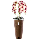 botle Künstliche Orchidee Kaskaden Blumenstrauß Creme und Rosa im Topf Braun H 110 cm Heimbüro Dekoration, Kunstpflanze Orchidee, Kunstblume, Künstliche Orchidee im Topf