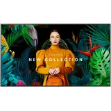 Samsung QH65C, 65" (LH65QHCEBGCXEN)