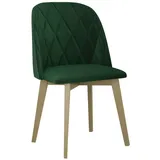 MIRJAN24 Stuhl Monti III Pik Raute (1 Stück), 48x55x83 cm, aus Buchenholz grün