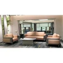 JV Möbel Moderne Ledergarnitur in Beige-Grau für Büro oder Lounge,