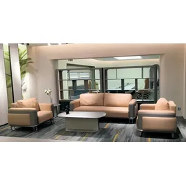 JV Möbel Moderne Ledergarnitur in Beige-Grau für Büro oder Lounge,