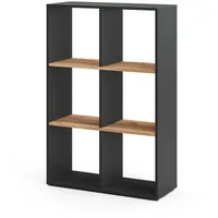 Vicco Raumteiler Karree 72 x 107,8 x 29 cm Anthrazit/Goldkraft Eiche