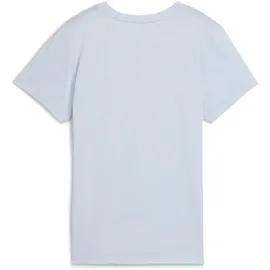 Puma TAD Essential Heather Logo blau XL