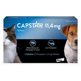 Capstar 11,4 mg für Katzen und kleine Hunde Tabletten