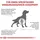 Royal Canin Mobility Support 12 kg