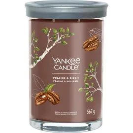 Yankee Candle Praline & Birch große Tumbler-Kerze 567 g braun