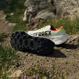 adidas Terrex Agravic TT / Trailrunningschuhe Gr 43 1/3