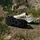 adidas Terrex Agravic TT / Trailrunningschuhe Gr 43 1/3
