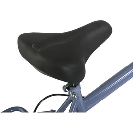 Hollandia City Next 28 Zoll RH 56 cm Herren blau
