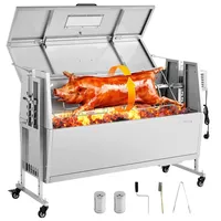 Vevor Drehspießgrill Silber