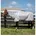 Horseware Fliegendecke Amigo Bug Rug Plus 1 St