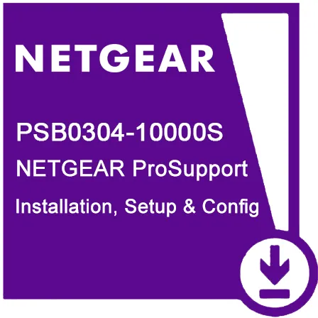 Netgear ProSupport Professional Setup and Configuration