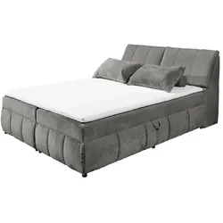 Boxbett  Vauxhall ¦ grau ¦ Maße (cm): B: 183 H: 105 T: 235