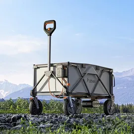 LiTHELi Bollerwagen W1 Pro grün