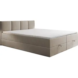 Trada Royal Boxspringbett 160 x 200 cm H3 Beige